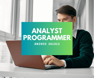 Analyst programmer